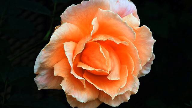 Самая новая музыка и видео 2015 - смотреть в качестве смотреть онлайн