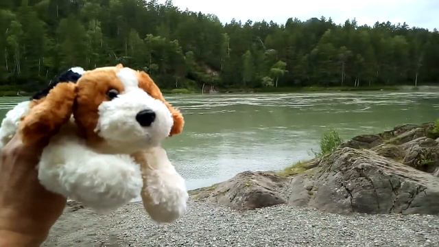 Siberian Expeditions, авто-путешествия Рекса, Горный Алтай, этно тур. смотреть онлайн