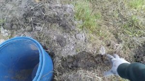 Септик из бочки