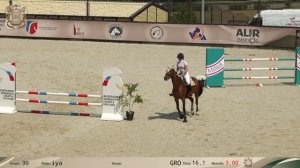 16.06.2023 Муниципальные соревнования по конкуру на призы КСК "Виват, Россия!"