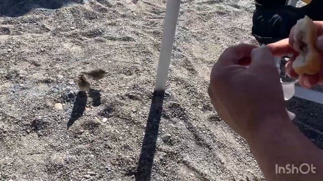 Loano Liguria,Italy+ Loano Port 2021 Summer Vacation