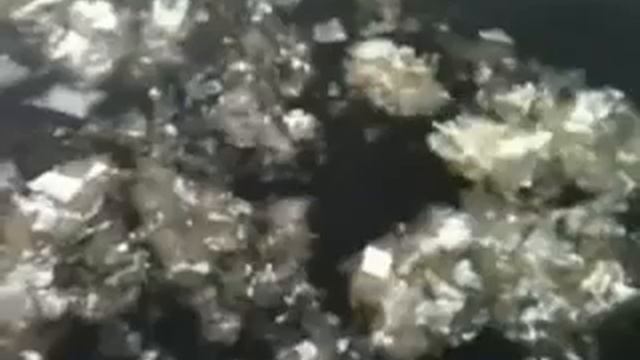 Нева 2012 смотреть онлайн