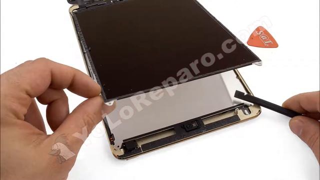 Guía del Apple iPad mini 3 (A1599): Cambiar cámara delantera смотреть онлайн