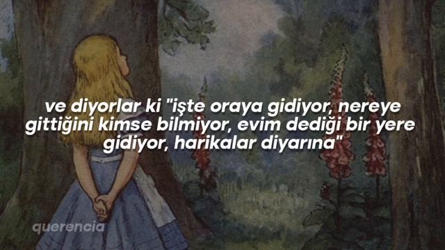 Roxen X Alexander Rybak - Wonderland (türkçe çeviri) смотреть онлайн
