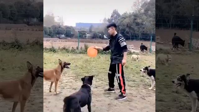 Пикник сияние смотреть онлайн