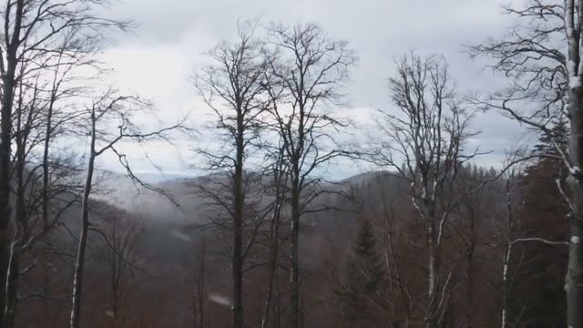 HEINRICH HEINE - EIN FICHTENBAUM STEHT EINSAM