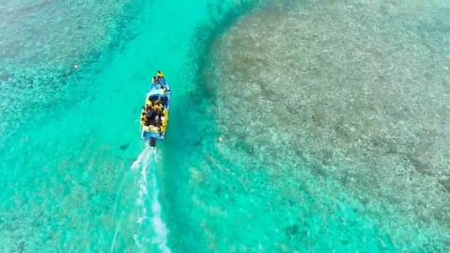 ❤ Красивое видео природы ❤ и красивая расслабляющая музыка ? ? ? смотреть онлайн