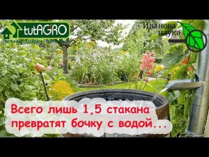 БОЧКУ С ВОДОЙ превратил В БОЧКУ С БАЛЬЗАМОМ ДЛЯ РАСТЕНИЙ! ЖИВИТЕЛЬНЫЙ БАЛЬЗАМ, КОТОРЫЙ РАСТЕТ САМ!