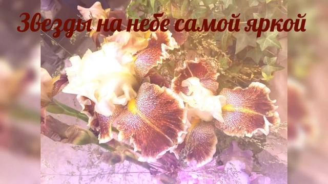 Поздравление с 8 Марта! Милым девушкам! Пожелания в день 8 Марта! смотреть онлайн