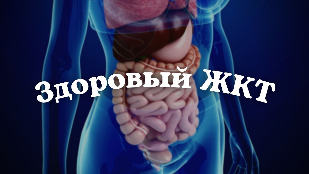 2:38 / 16:00 ?Здоровый ЖКТ/желудок/кишечник. Подсознательные внушения. Cаблиминал смотреть онлайн