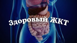 2:38 / 16:00


?Здоровый ЖКТ/желудок/кишечник. Подсознательные внушения. Cаблиминал