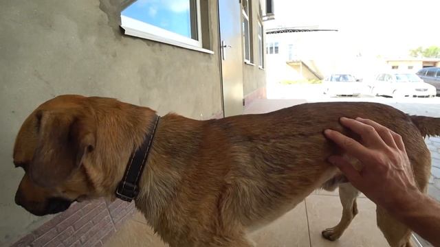 Работенка на 2000 рублей плюс металл смотреть онлайн