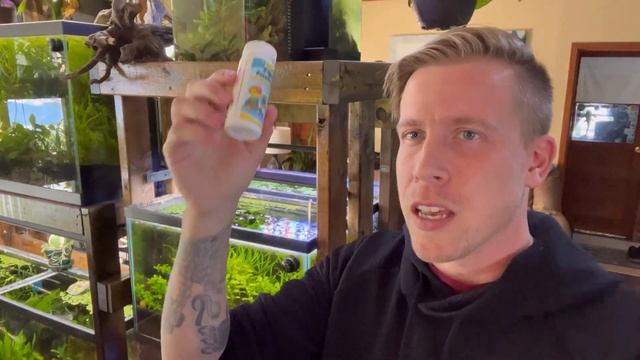 7 Tips to Remove Algae from Your Aquarium смотреть онлайн