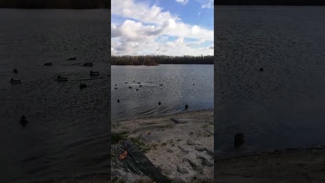 Тривога, безсоння, як лікувати?! .Ділюсь досвідом, Чекаю порад. смотреть онлайн