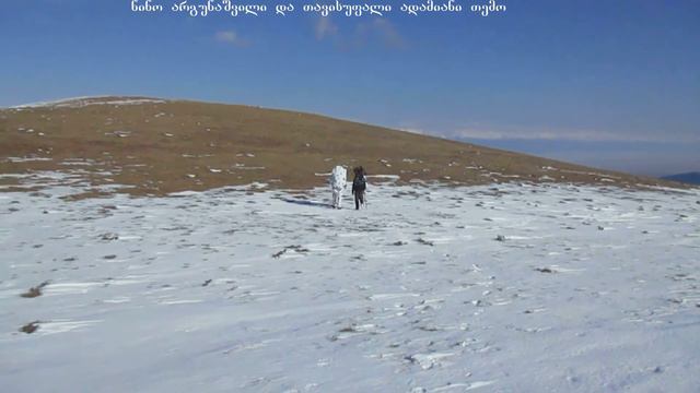 გომბორის ქედი. Gombori ridge. Гомборский хребет. 04 08 01 2019 смотреть онлайн