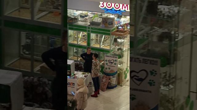 сбор форум кошечек в ТЦ Фили Град,26.11 смотреть онлайн