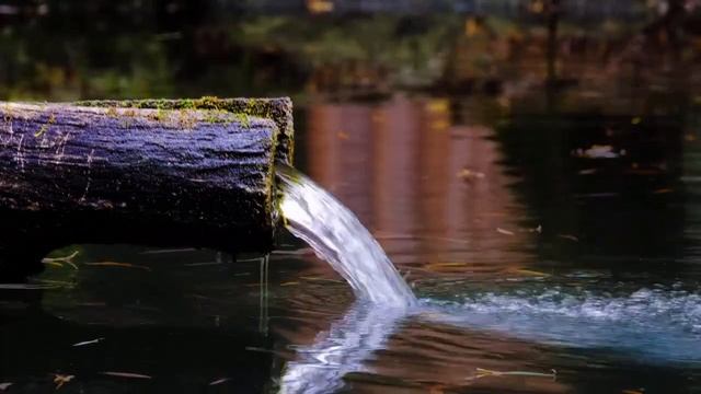 Журчание ручья. Отдых и медитация, музыка воды. смотреть онлайн