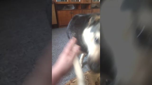 Лора опять в гостях. смотреть онлайн