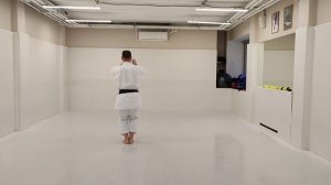 Бассай дай медленно Bassai dai slowly #бассайдай#bassaidai#ката#каратэ#традиционноекаратэ#karate