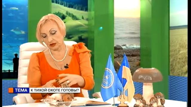 Плюс и минус с Ольгой Бабаянц (18 10 16) К тихой охоте готовы смотреть онлайн