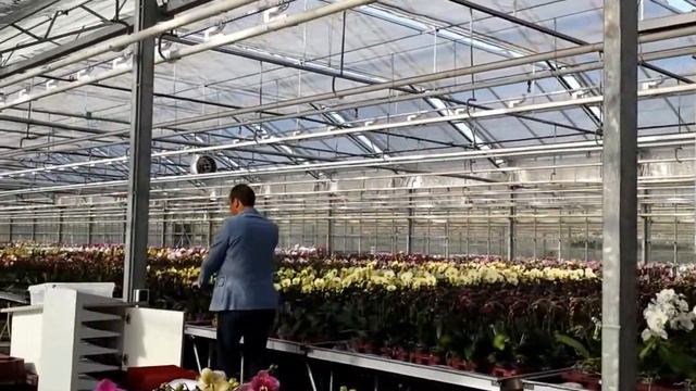 Segway slapstick.. смотреть онлайн