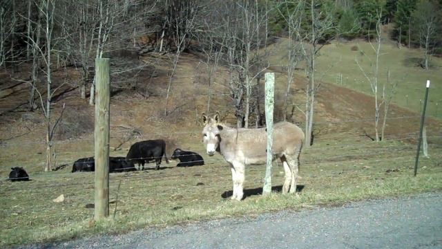 Sites In The Country смотреть онлайн