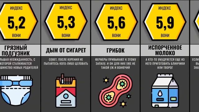 Сравнение Худшие запахи смотреть онлайн