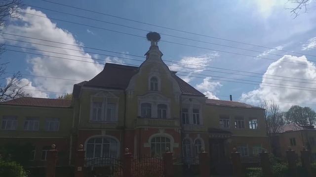 Аисты свили гнездо. смотреть онлайн
