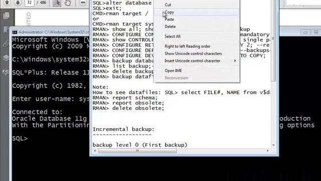 Oracle DBA 11g Tutorial in Bangla: Lesson#15 Performing Database Backups смотреть онлайн