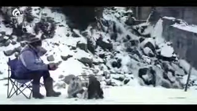 Создин басы бисмилла смотреть онлайн