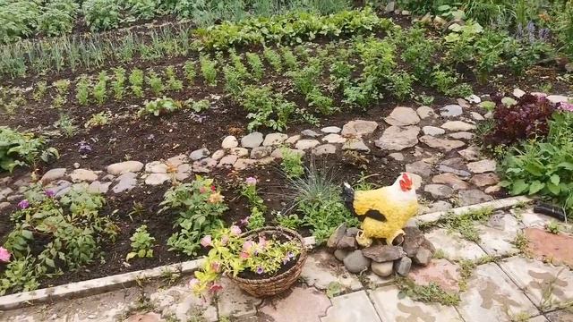 Что же растёт в огороде?Гуляем, смотрим, говорим. смотреть онлайн