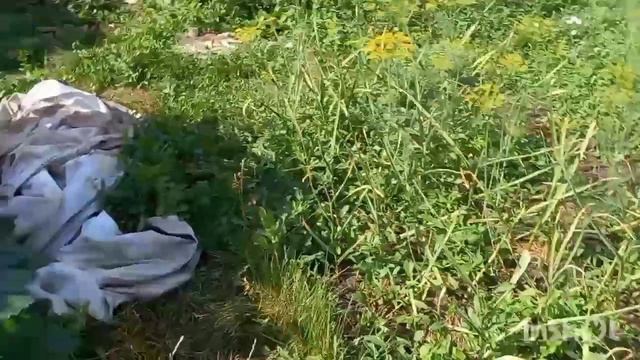 Это не огородник! Зачем такое показывать? смотреть онлайн