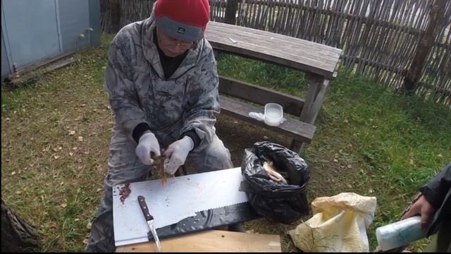 Как почистить окуня от чешуи! Как снять шкуру с окуня быстро и легко! смотреть онлайн