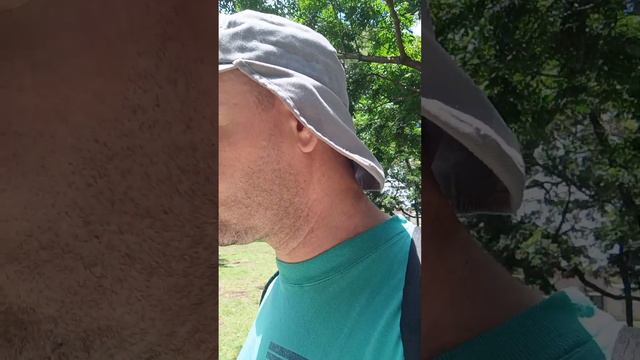 Разумное мышление. Система 2 смотреть онлайн