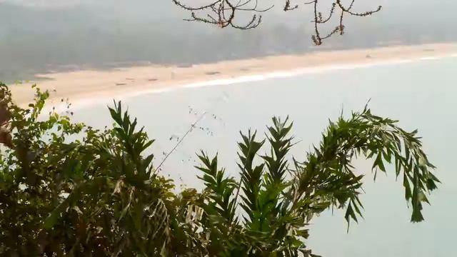 Ibanez GWB35 Agonda смотреть онлайн