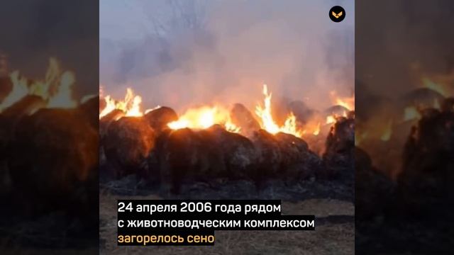 Нина Брусникова – Герой России, доярка из села Евдокимово смотреть онлайн