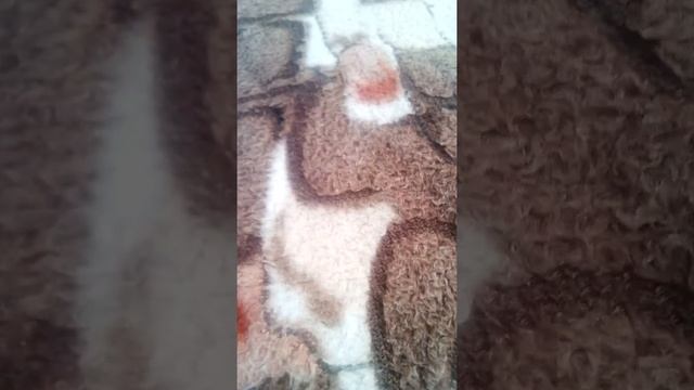 Как отключить безопасный режим смотреть онлайн