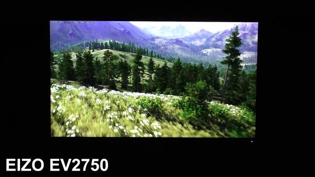 IPS vs IPS: Viewing Angles Comparison смотреть онлайн