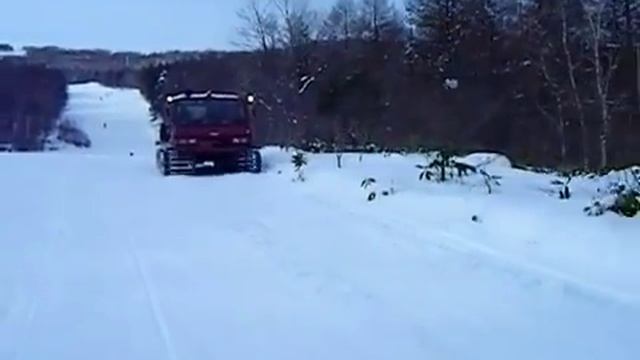 Снегоход Ohara SM 31DN (Охара СМ 30 )