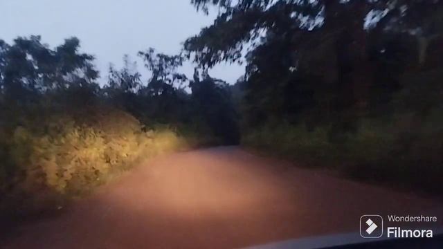 Unexplored Jharkhand # Saranda Forest # Forest View #Outdoor Oracle смотреть онлайн