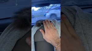 Тут Малому примерно 2.5 месяца ❤️ На улице Лето ? Приехали гулять в парк возле Южной Бухты ❤️