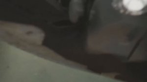 Стук бачка омывателя Citroen C4