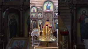 Многолетие слушать до конца