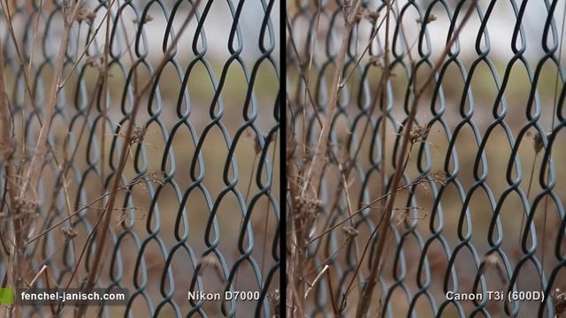 Nikon D7000 vs. Canon 600D (Rebel T3i) смотреть онлайн