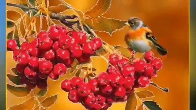 Здравствуй, октябрь! Доброе утро! 1 октября. Хорошего дня! смотреть онлайн