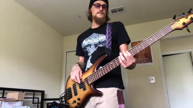 Love Psalm by Tribal Seeds bass cover смотреть онлайн