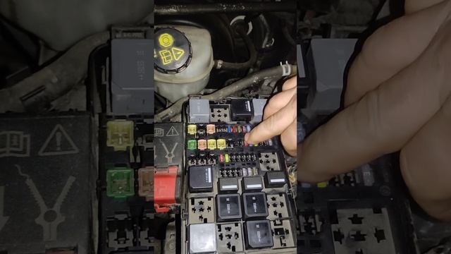 17 сентября 2023 г. смотреть онлайн