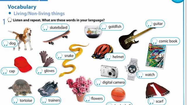 Grade 5. Module 2. Living things. Living thing/Non-living things смотреть онлайн