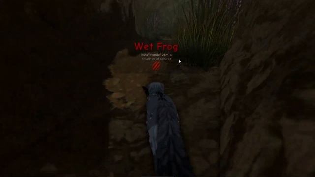 Обновление в Warrior Cats: Ultimate Edition!  Это просто потрясающе!