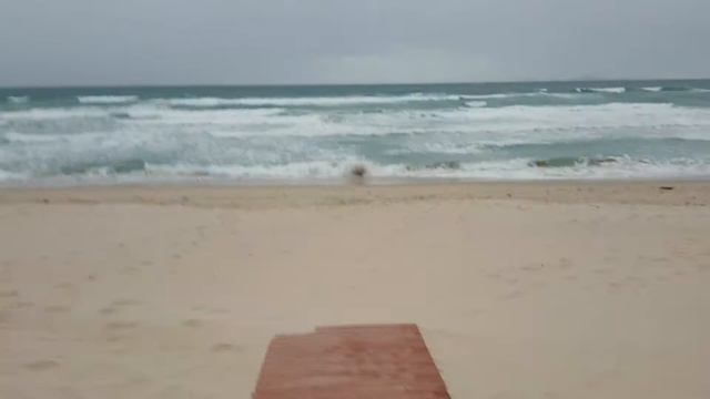 Вьетнам отель Swandor 5 *. Погода. Weather.Swandor Hotel & Resorts , Vietnam, Cam Ranh, 9 Mart 2018